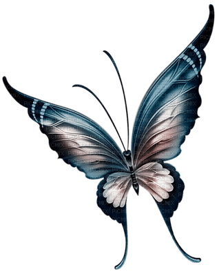 Tournesol94 papillon - kostenlos png