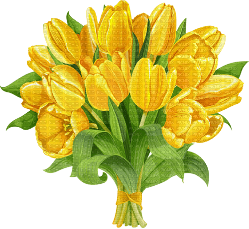 Kaz_Creations Flowers-Fleurs - Free PNG