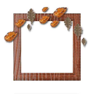 Small Orange Frame - zadarmo png