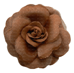 autumn deco brown rose flower kikkapink - 無料png