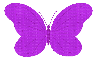 Kaz_Creations Deco Butterfly Colours Animated - Free animated GIF