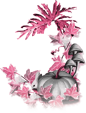 soave deco autumn tanksgiving  pumpkin mushrooms - δωρεάν png