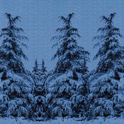 minou-blue-blå-background-bg-tree - zdarma png