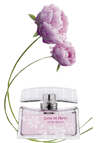 perfume parfüm parfum - безплатен png