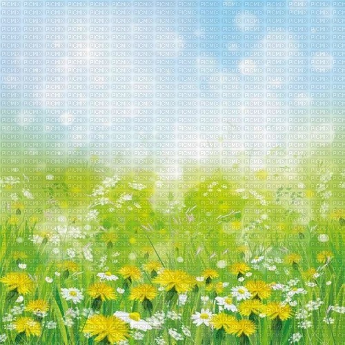 Y.A.M._Summer background flowers - zdarma png