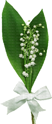 Maiglöckchen, Blumen, Flowers - Ilmainen animoitu GIF