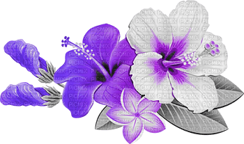 soave deco flowers summer tropical branch - kostenlos png