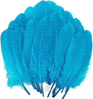 blue feathers - 免费PNG