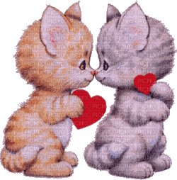 chats amoureux - GIF animado gratis