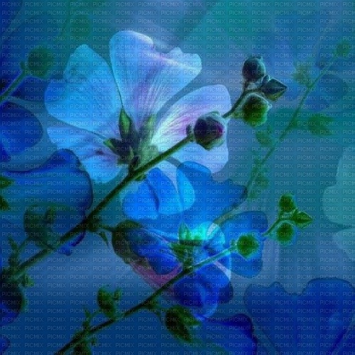 Голубой цветочный фон - png grátis