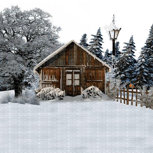 winter  background by nataliplus - zdarma png