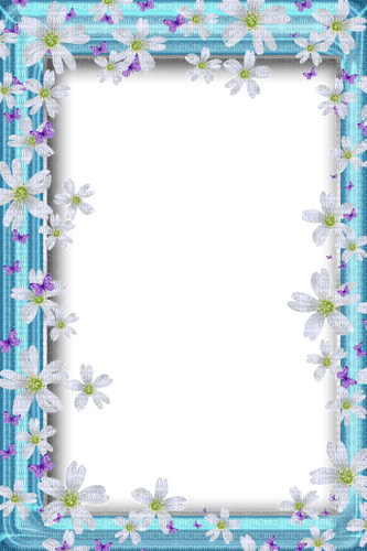 Frame_with_Flowers_and_Butterflies - PNG gratuit