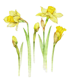 kikkapink vintage spring flowers - kostenlos png