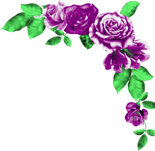 Roses.Purple - zadarmo png