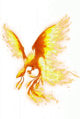 phoenix - nemokama png