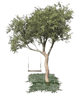 arbre et balançoire - png gratis