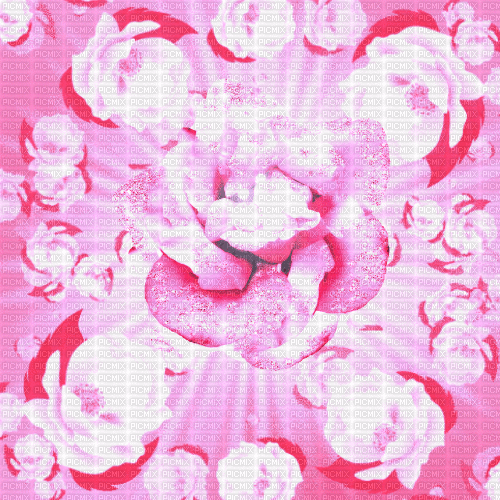 ME / BG / animated.spring.colour.roses.pink.idca - Nemokamas animacinis gif