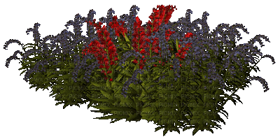 flowers katrin - Zdarma animovaný GIF