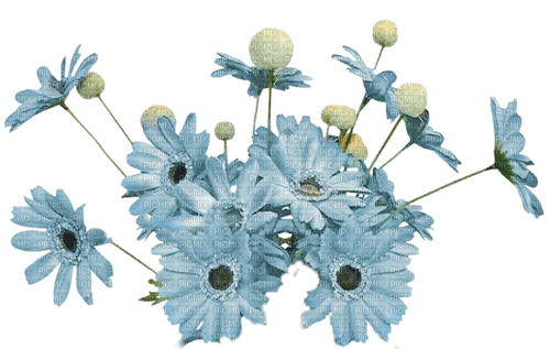 blue flowers 5 - ücretsiz png
