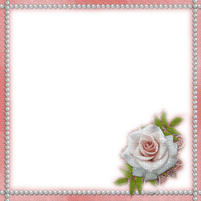 frame cadre flowers - kostenlos png