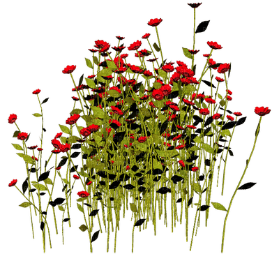 flowers anastasia - ilmainen png