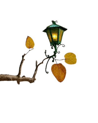 tree,leaf,autumn,fall,hanging light, lamp, light - 無料png