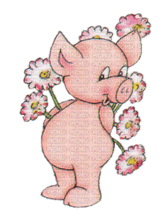 MMarcia gif poquinho pig  florês fleur - Gratis animerad GIF