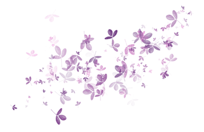 Flowers dm19 - kostenlos png