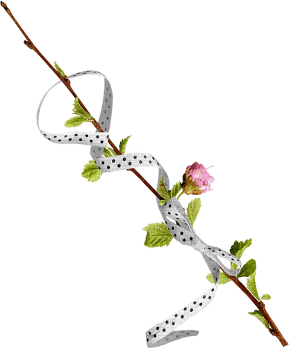 Frühling, Blumen - Free PNG