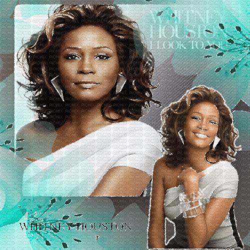 Whitney Houston milla1959 - GIF เคลื่อนไหวฟรี