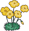 tulipe - GIF animate gratis