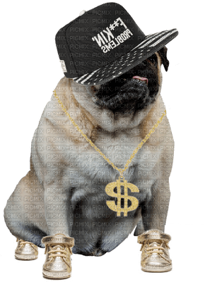Kaz_Creations Dog Pug Bling - zdarma png