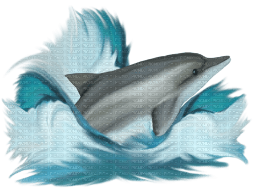 dolceluna summer dolphin - 免费PNG