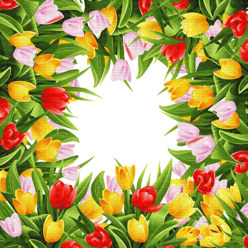 loly33 frame tulipe - darmowe png