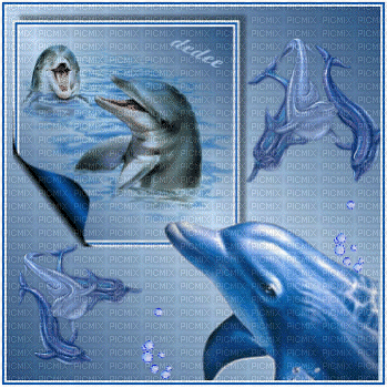 dauphins - Ücretsiz animasyonlu GIF