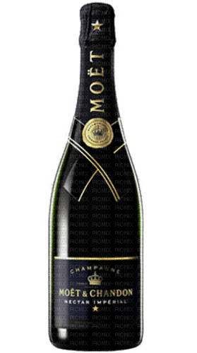 Moët & Chandon Champagne - Bogusia - png gratis