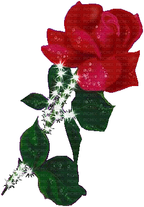 Rote Rose - GIF animé gratuit