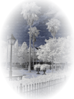 Kaz_Creations Paysage Scenery Winter - png ฟรี