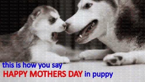 Mothers Day-000000003 - Zdarma animovaný GIF