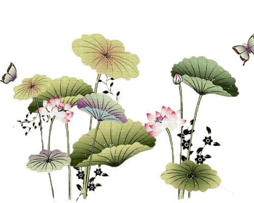 lotus Bb2 - nemokama png