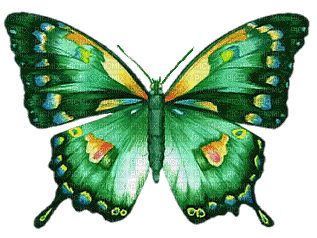 Papillon - Бесплатный анимированный гифка