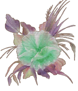 fleur - Ilmainen animoitu GIF