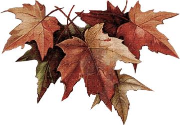 gala autumn - фрее пнг