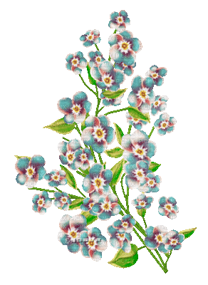 soave deco branch spring flowers animated - Gratis geanimeerde GIF