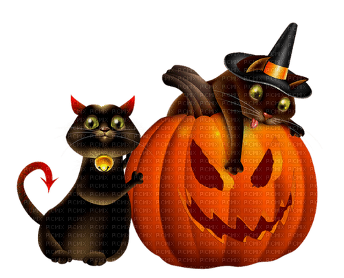 halloween cats with  pumpkin by nataliplus - ücretsiz png