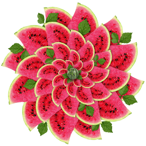 sm3 red watermelon summer fruit season png - Free PNG