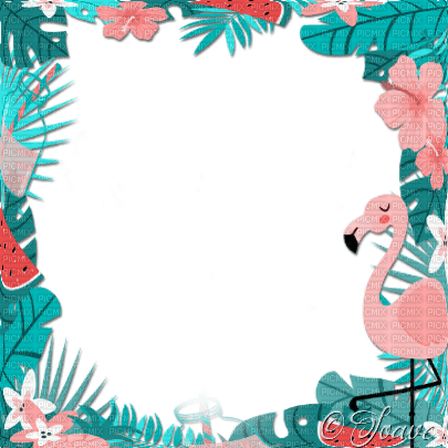 soave frame summer flowers tropical bird leaves - zadarmo png