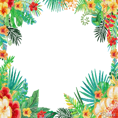 soave frame animated summer tropical  flowers - GIF animé gratuit