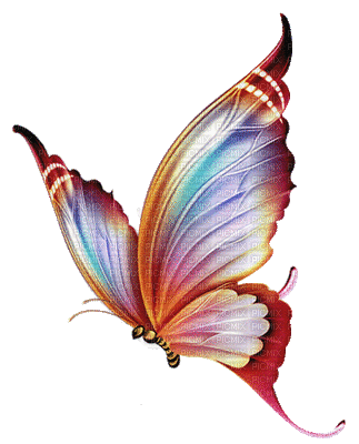 motýl - Bezmaksas animēts GIF