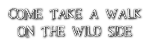 Take a walk on the wild side 🏵asuna.yuuki🏵 - png gratis